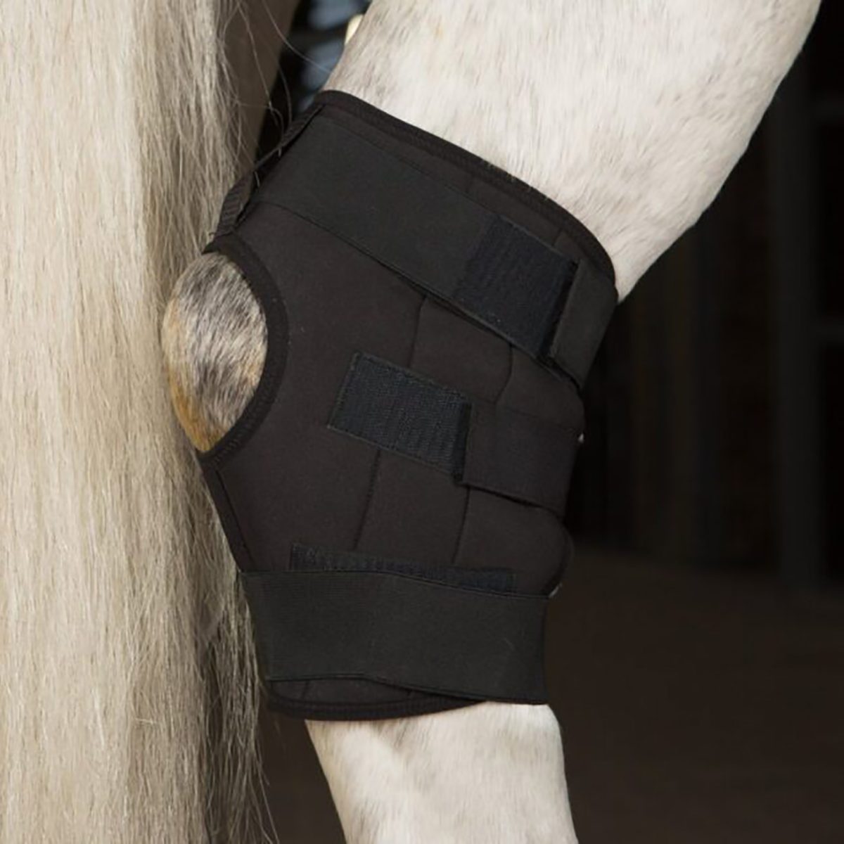 Harcour Hockease Hock Boots Cavaletti Black main image 1